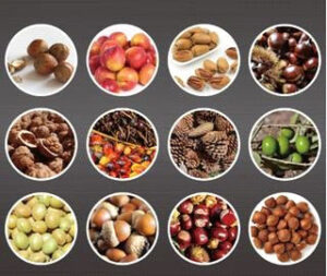 Συλλέκτης καρπών εδάφους GRASHER - Image 2