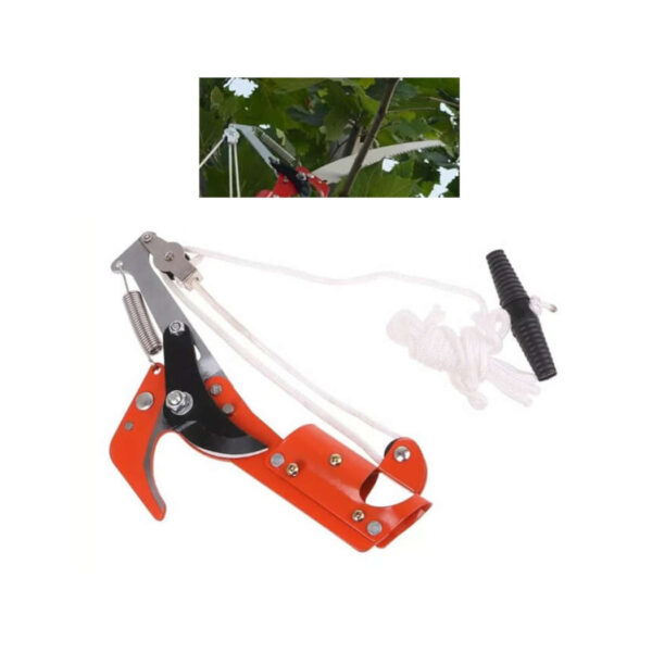 ΚΛΑΔΕΥΤΗΡΙ ΠΡΙΟΝΙ ΠΤΥΣΣΟΜΕΝΟ