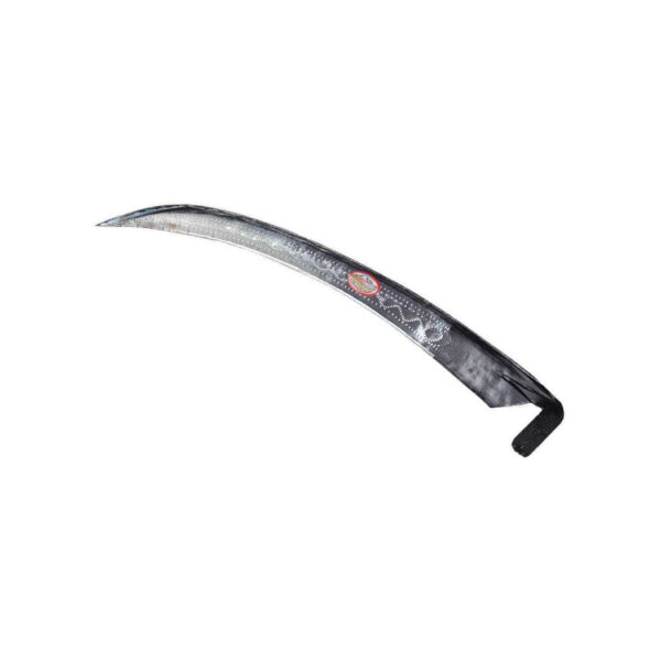 ΚΟΣΑ ΚΡΟΚΟΔΕΙΛΟΣ ΣΛΟΒΕΝΙΑΣ