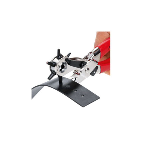 ΤΡΥΠΗΤΗΡΙ ΤΣΑΓΚΑΡΑΔΩΝ