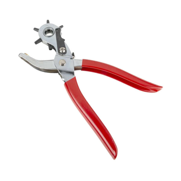 ΤΡΥΠΗΤΗΡΙ ΤΣΑΓΚΑΡΑΔΩΝ