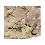 ΔΙΧΤΥ ΠΑΡΑΛΛΑΓΗΣ – ΜΠΕΖ 4Χ6