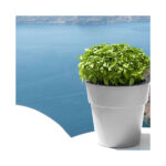 Γλάστρα Στρόγγυλη