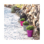 Γλάστρα Στρόγγυλη πλαστική